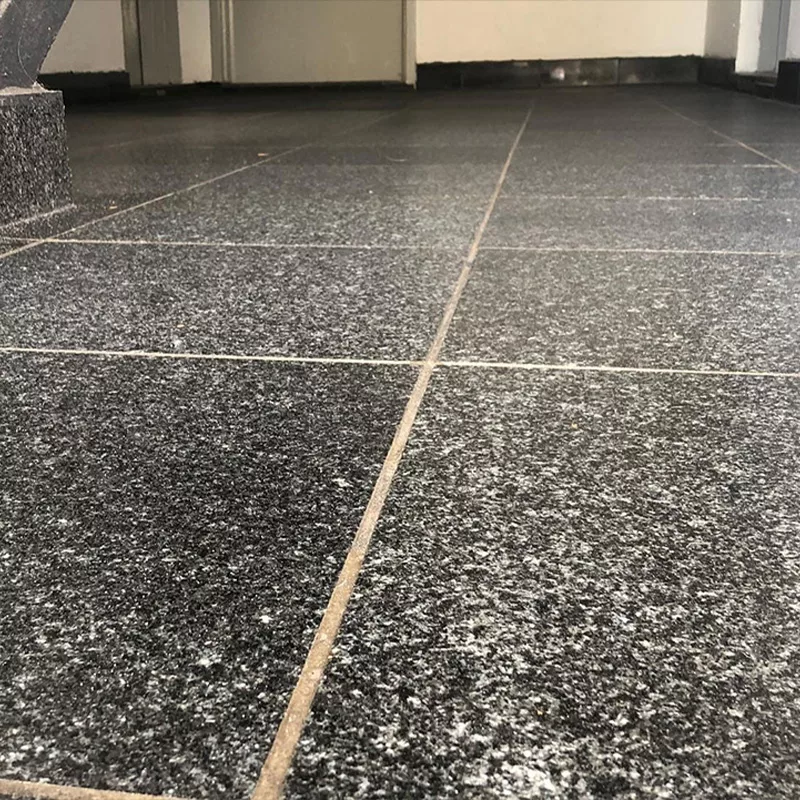 Carrelage escalier rendu antidérapant avec Stellmann